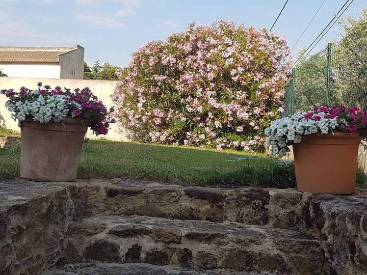 Séjour touristique Aubignan